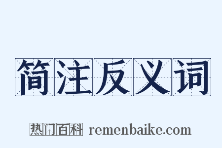 简注反义词是什么意思的图片